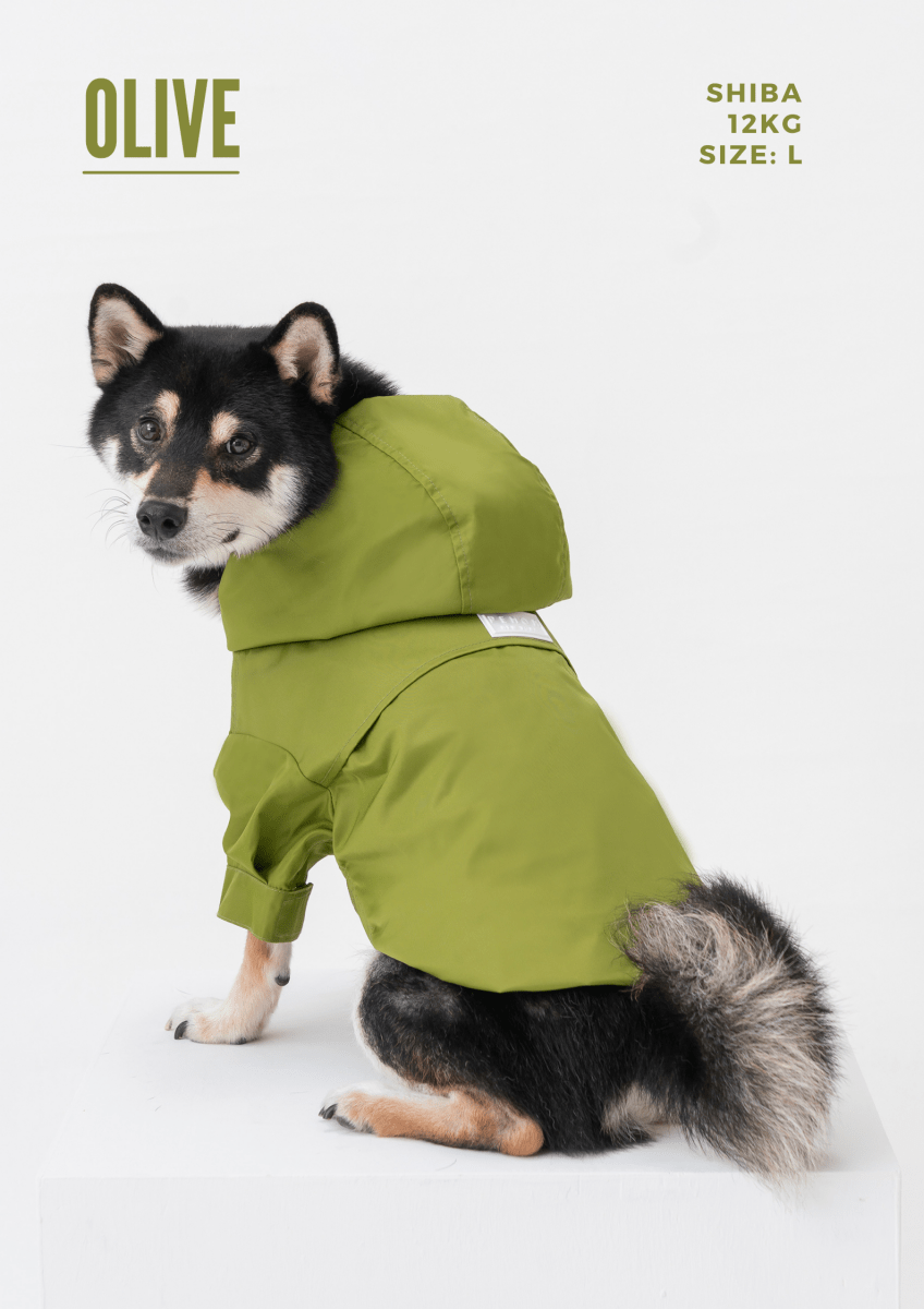 Tribeca adjustable velcro raincoat - Egg Yolk - LeashLux Pet Co